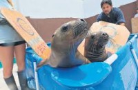 /album/fotogaleria/descarga-jpg/