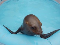 /album/fotogaleria/a10011388-807163776032217-1002231689193076185-n-jpg/