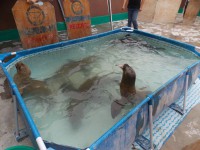 /album/fotogaleria/a1488131-807163716032223-6776825389582211848-nhola-jpg/