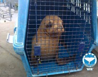 /album/fotogaleria/a1233489-587625997985997-1453983022-n-jpg/