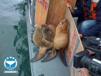 /album/fotogaleria/a1378878-587621511319779-34302826-n-jpg/